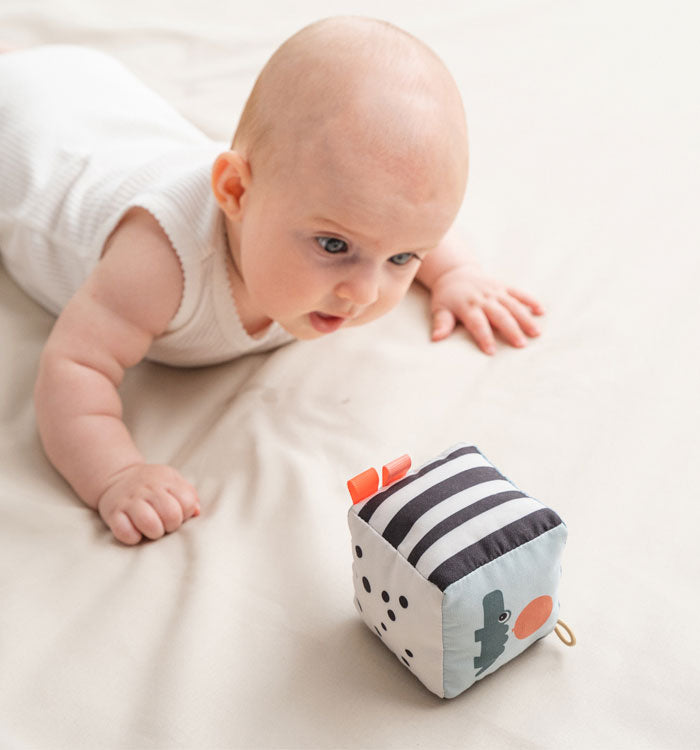 baby looking at contrast cube