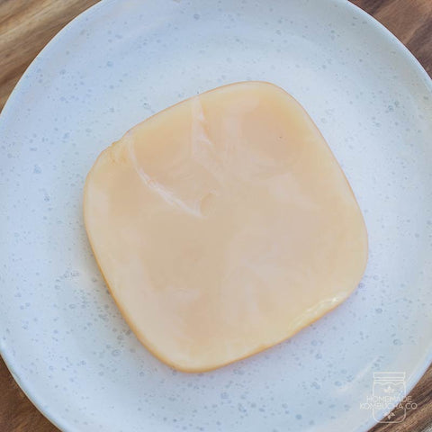 Healthy SCOBY: What Does a Healthy Kombucha SCOBY Look Like? - Bucha Brewers