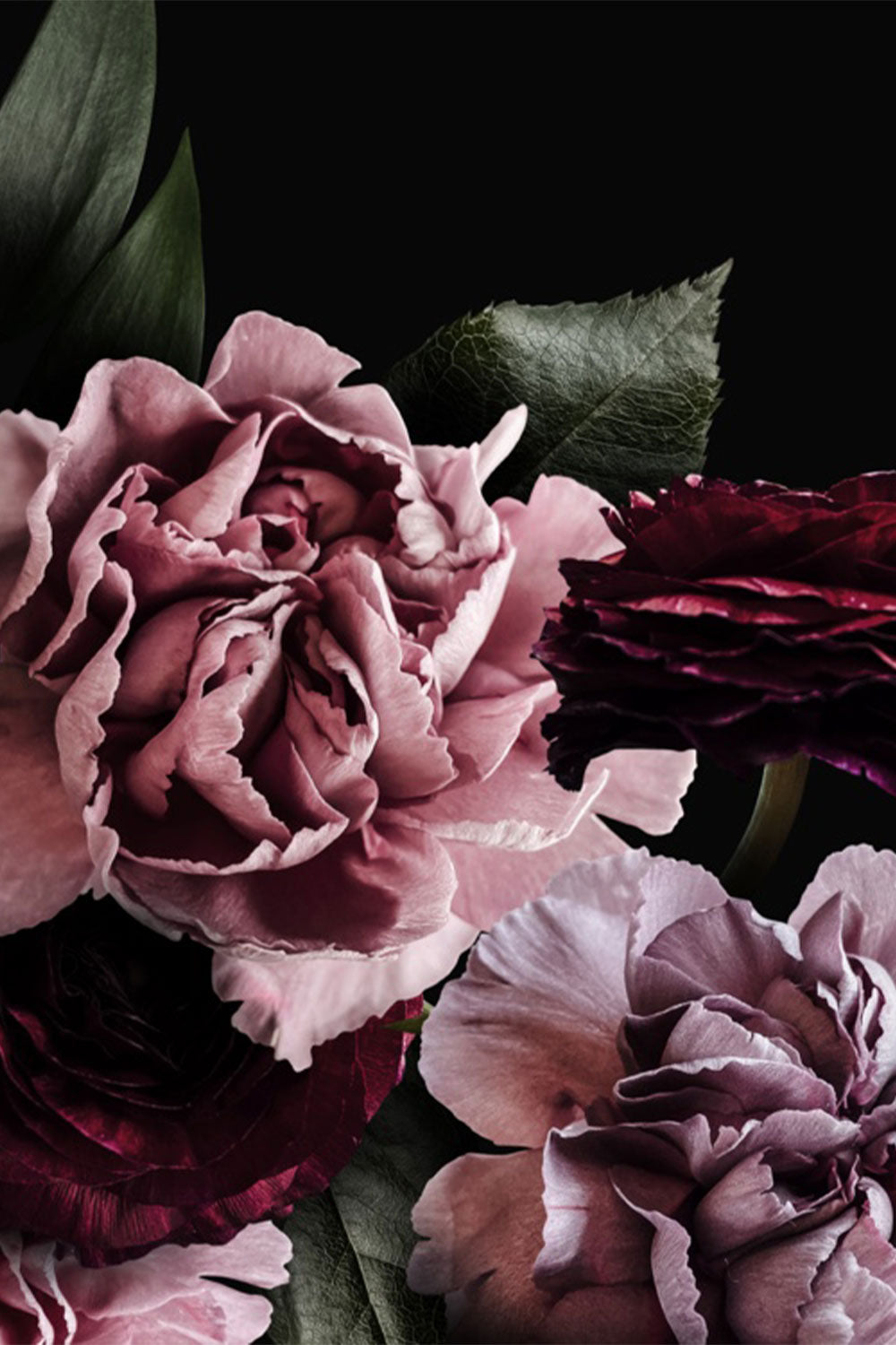 100 Dark Floral Wallpapers  Wallpaperscom