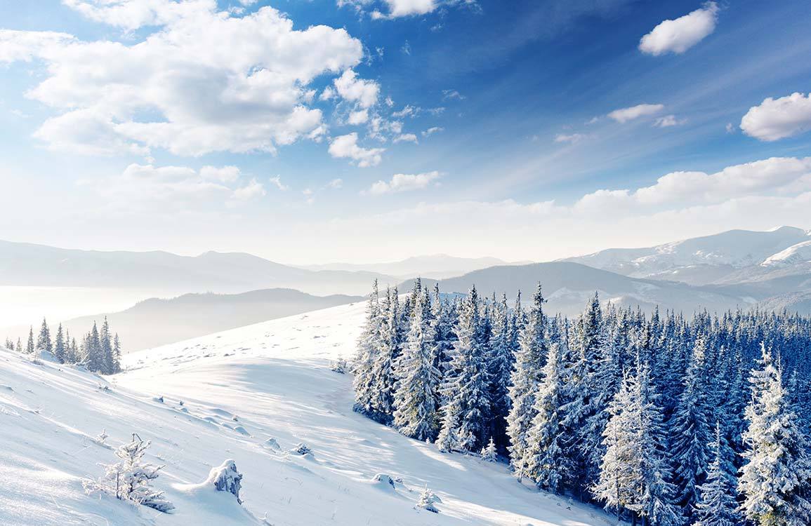 Clear Sky After Snow Wallpaper Mural | Ever Wallpaper UK