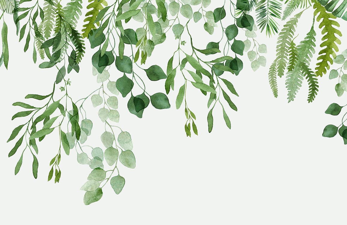 Green Vines Wall Murals  Ever Wallpaper UK