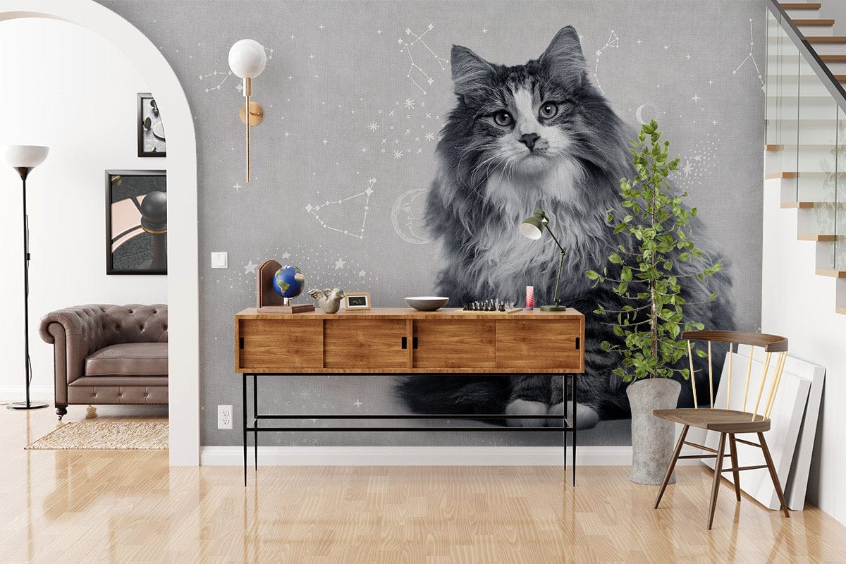 Maine Coon Wall Murals | Animal Wallpaper | Ever Wallpaper UK