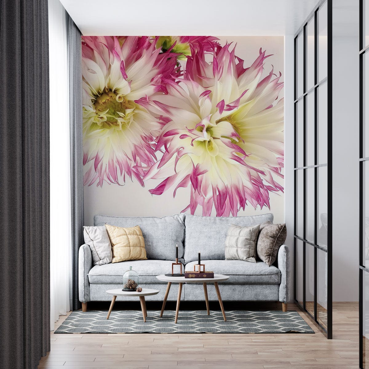 Ombre Dahlia Wallpaper Mural | Flower Mural Design