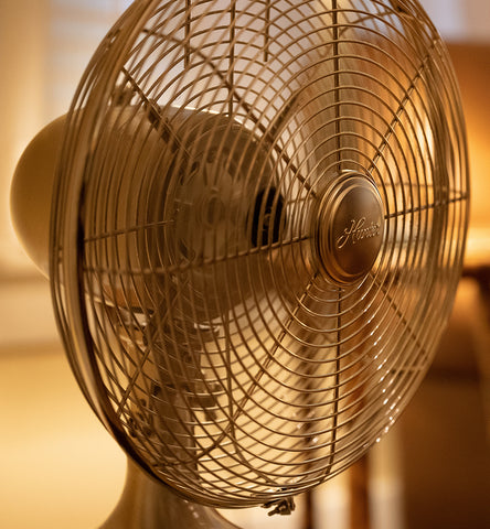 Fan