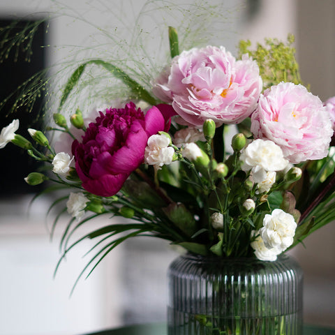 Pink flowers