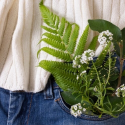 piante e fiori all’interno di una tasca di jeans