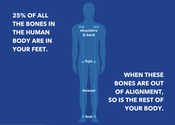 Medical illustration showing proper body alignment from shoulder bones to foot bones