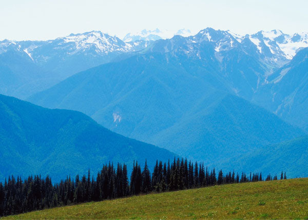 Scenic mountain view in Olympic National Park, Washington, USA