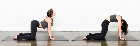 Woman doing cat-cow stretch exercise to help loosen up back muscles and improve flexibility