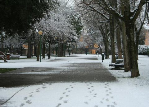 Outdoors with snow on ground, cold wintry weather