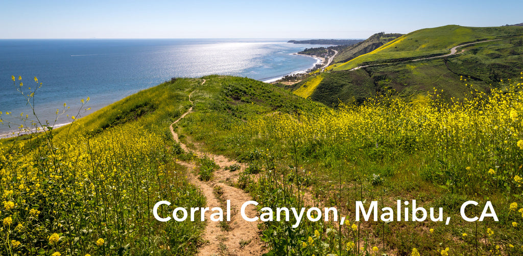 Landscape image of green, grassy hills and trails at Corral Canyon in Malibu, California