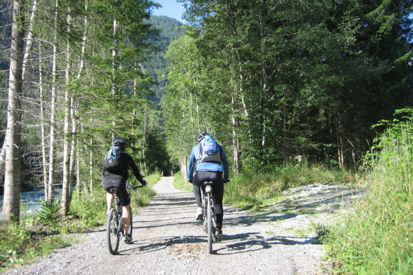 Two people riding bikes on a forest trail