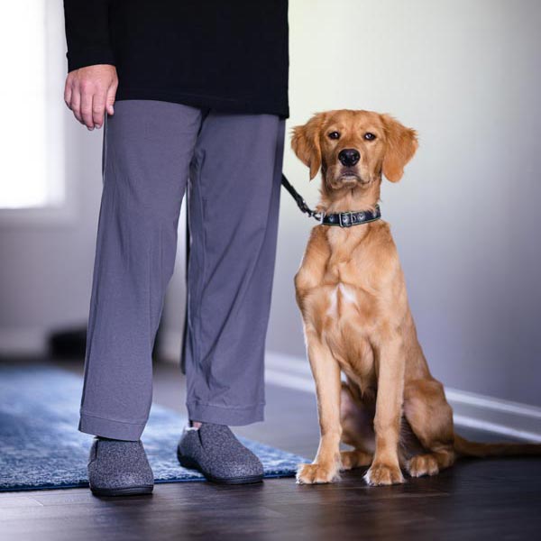 Man wearing PowerStep orthotic slippers for men, about to take dog outside around the house