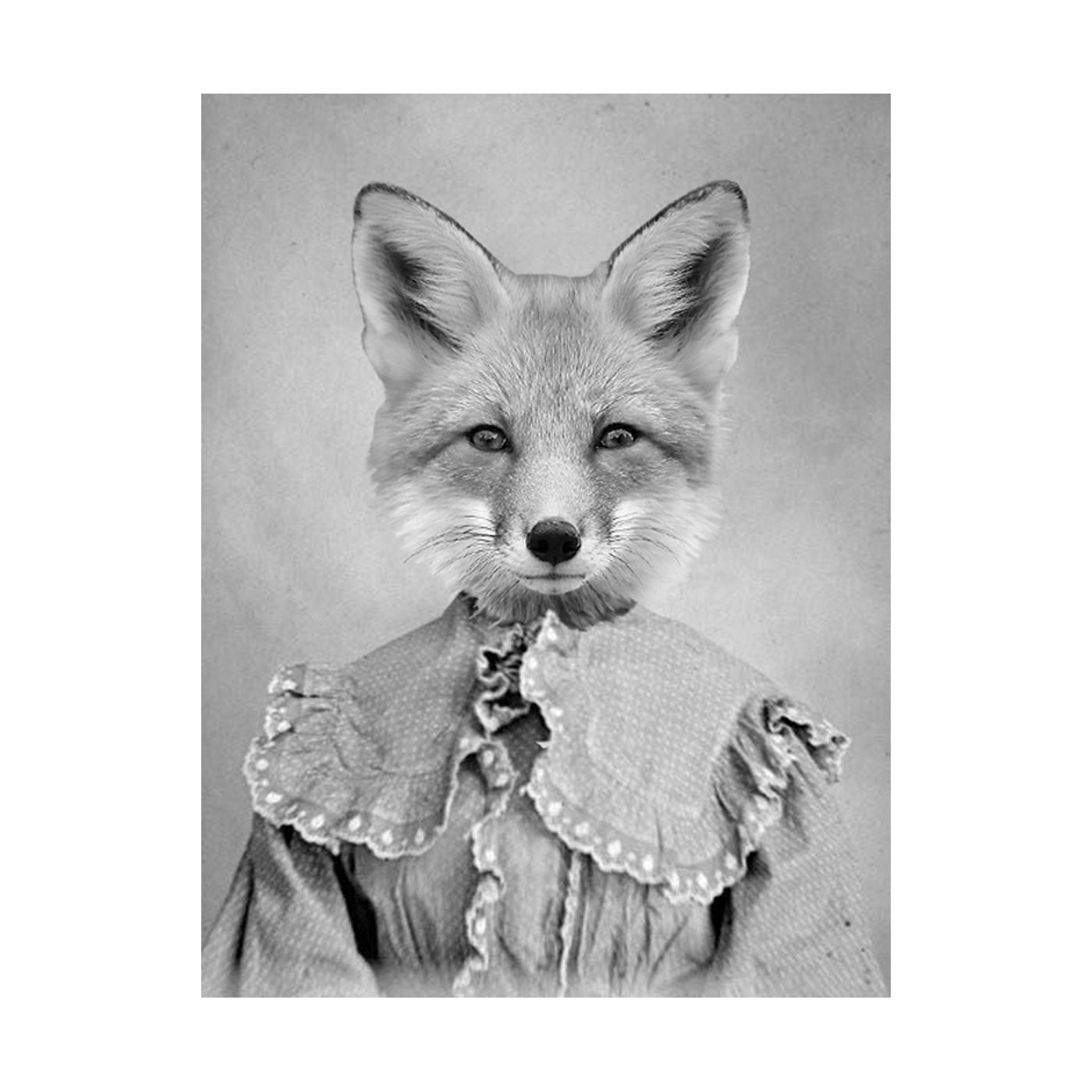 animals wearing clothes portraits