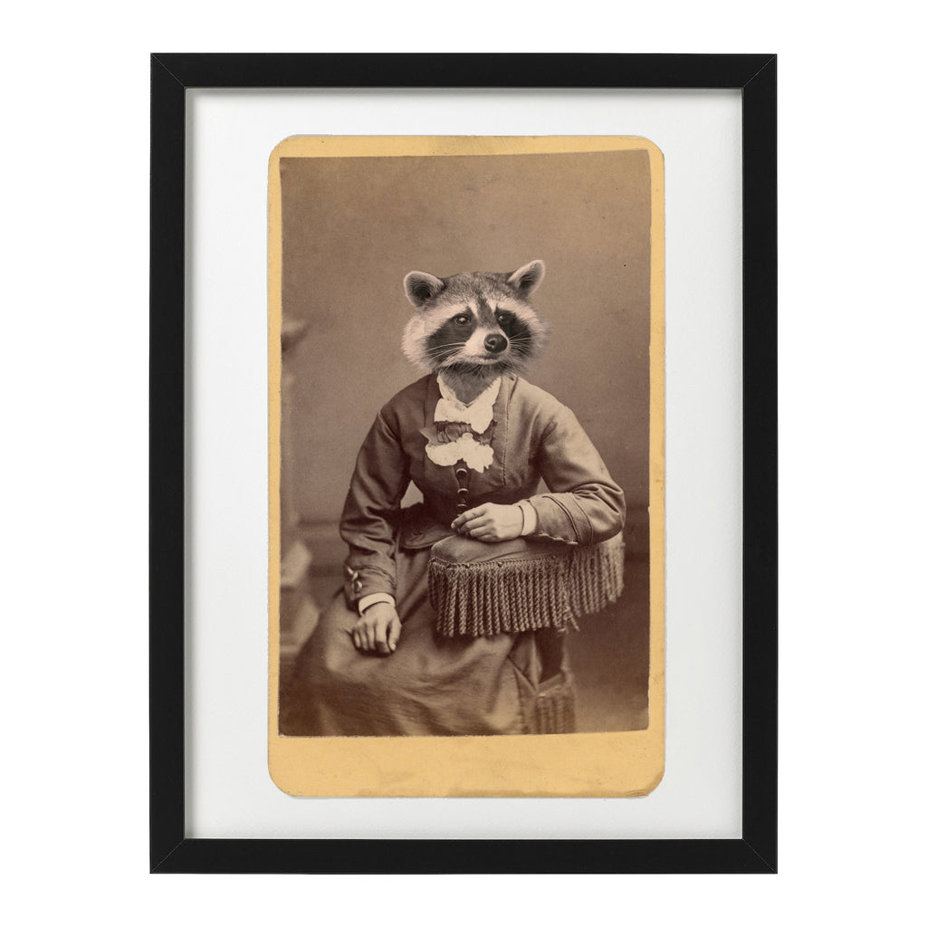 anthropomorphic raccoon