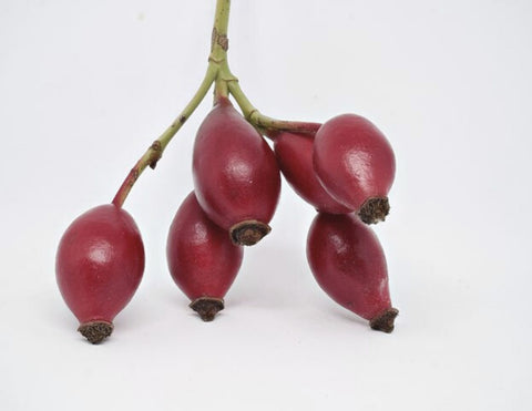 Huile de graines de rose musquée - ingrédient de soin anti-âge | LIIXIR