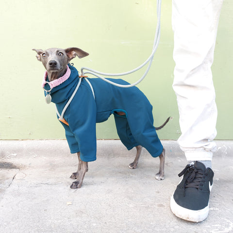 LÈ PUP dog coats, dog raincoats and dog jackets blog