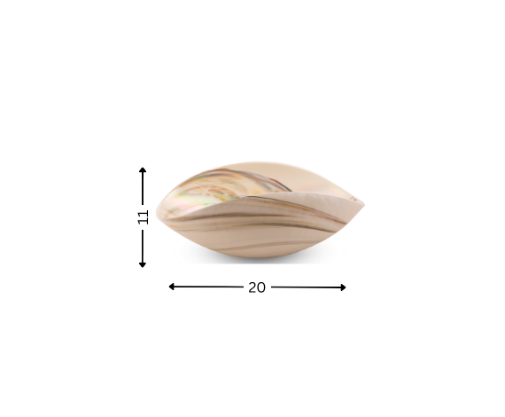 Fossile Medium Folded Bowl
