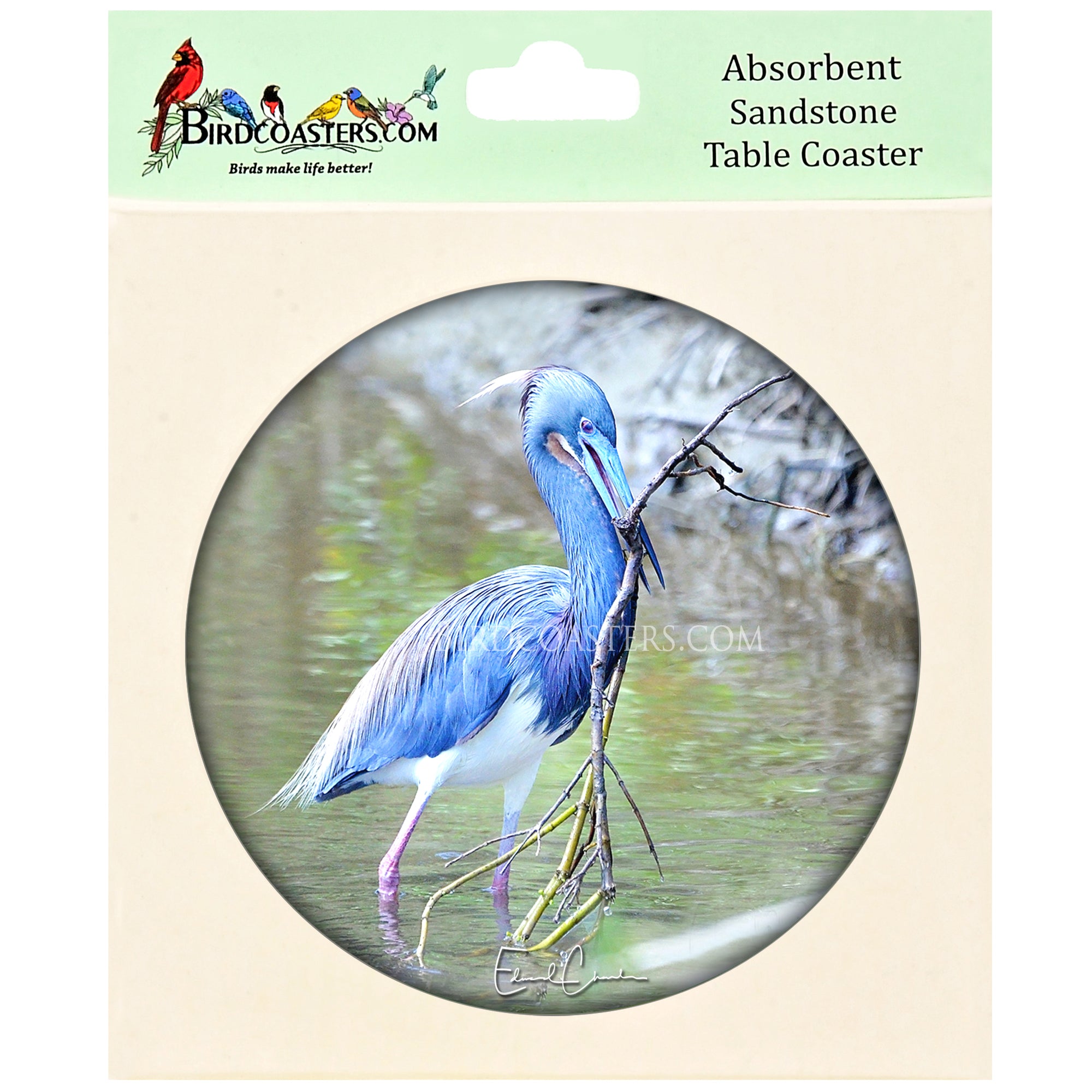 Tri-Colored Heron