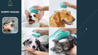 brosse-pour-chien-bain-miniature