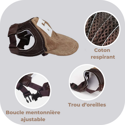 casquette-pour-chien-confort : ajustable, trou d'oreilles, respirant