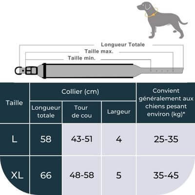 collier-pour-gros-chien-personnalisé-tailles