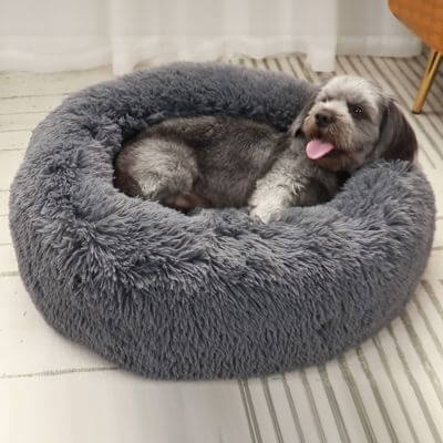 coussin-anti-stress-chien-confort