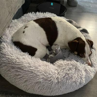 coussin-anti-stress-chien-sommeil