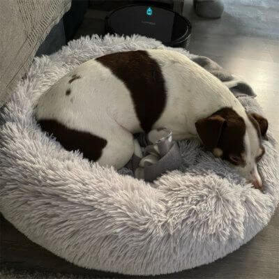 coussin-apaisant-chien-sommeil