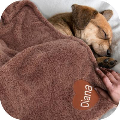 Couverture pour chien personnalisée