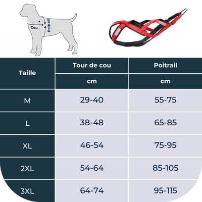 harnais-canicross-tailles