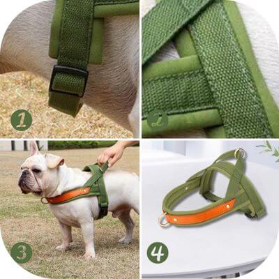 harnais chien anti traction ajustable, durable