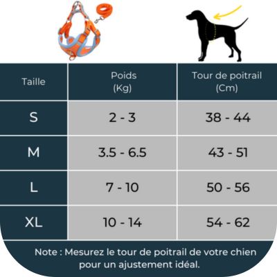 Guide de taille harnais xback pour chien: comment prendre les