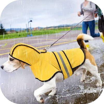 imperméable-chien-protection