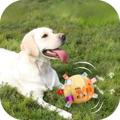 jouet pour chien : chien heureux jouant avec la balle anti-stress chien
