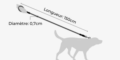 laisse-pour-chien-dimensions