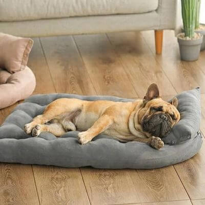 lit-pour-chien-style-sofa
