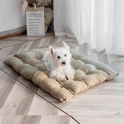 lit-pour-chien-version-tapis