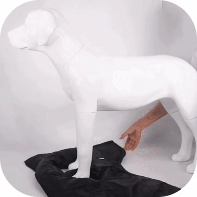 manteau harnais pour chien : démonstration de la facilité d'enfilage