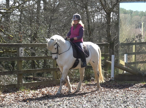 Schooling and dressage using the Total Contact Saddle - treeless saddle