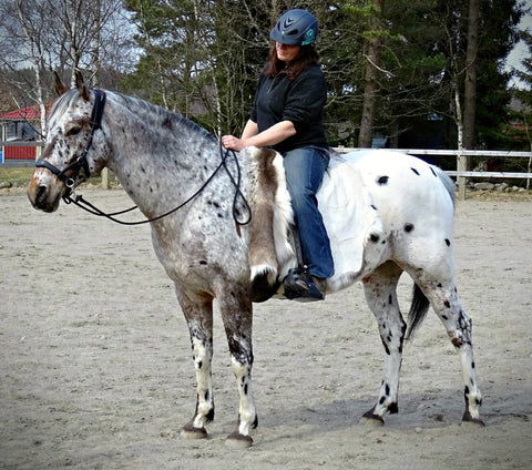 Gorgeous Appaloosa schooling using the Total Contact Saddle