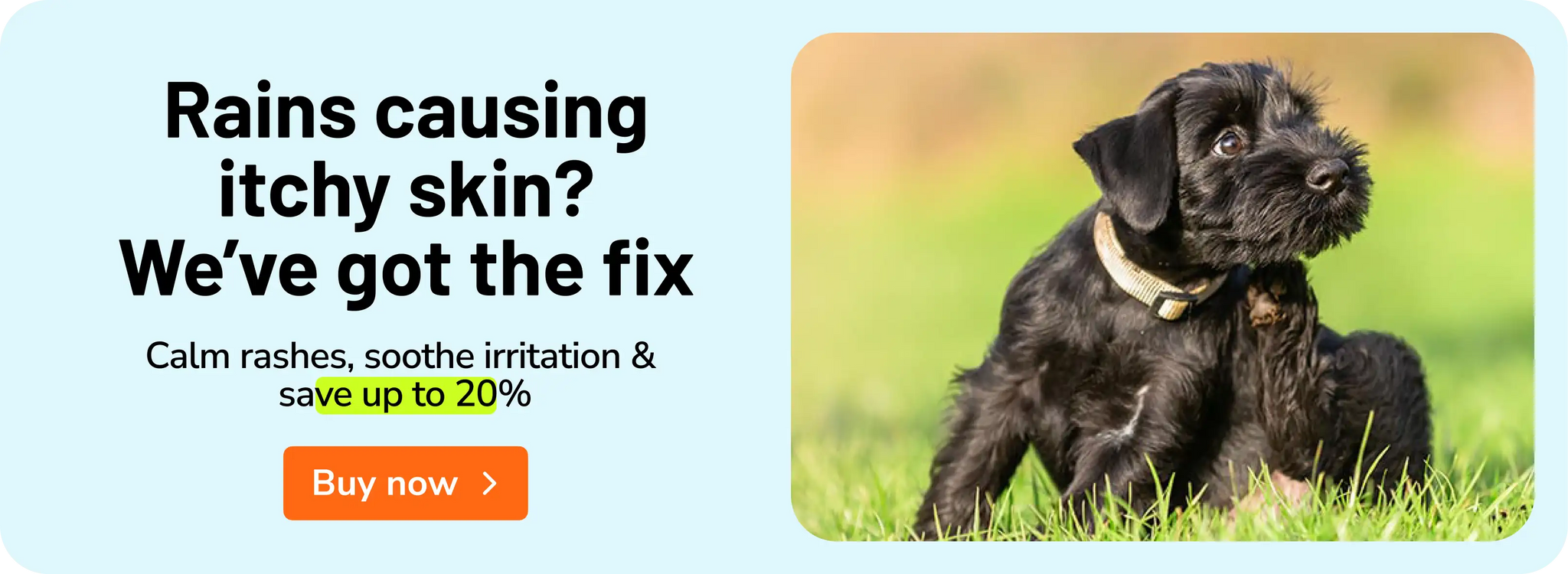 1.webp__PID:8282d036-237c-4d2e-b56c-6be2e4d0f7ed