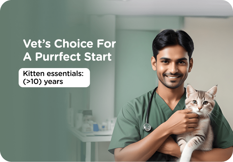 Dog Toys 11th_july_Vet Recommended Main Banner-min-1.png__PID:2f44f023-8046-4212-a8ce-509e6ffd907a