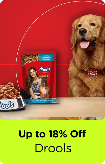 1st July_Brands in focus 2-min.png__PID:648103f2-5aec-42b6-95ca-5cc5ec237e07