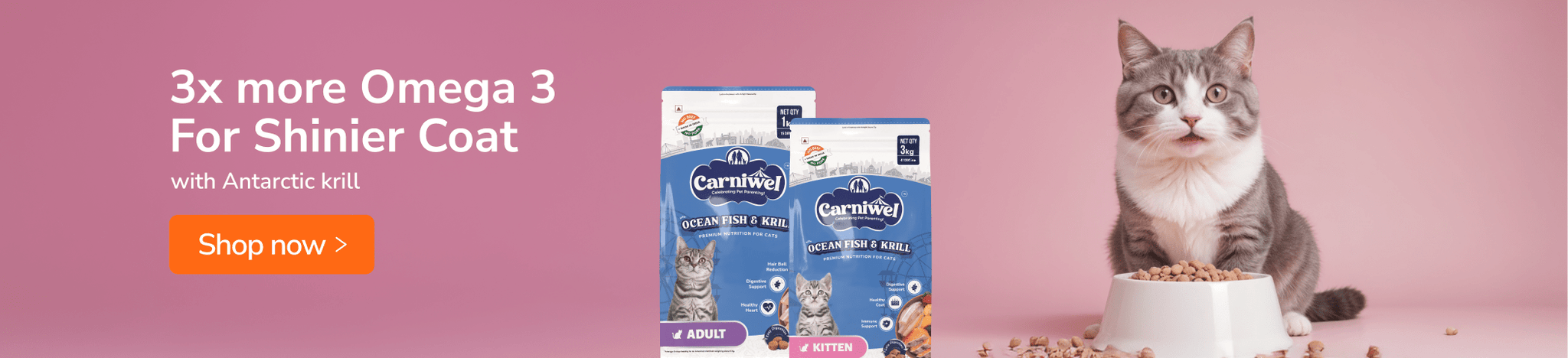 Carnibowl_banner_web-8-min.png__PID:7fd539c3-7b40-47c3-bce6-6fdf685f80f3