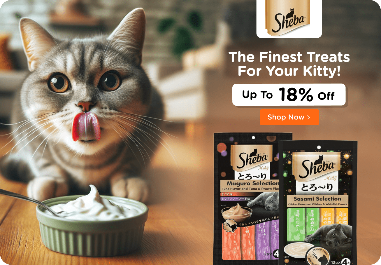 Cat Treats Banner_Mob_strip banner-min.png__PID:f59c3f35-2900-405f-9d2f-ef6a2018d568