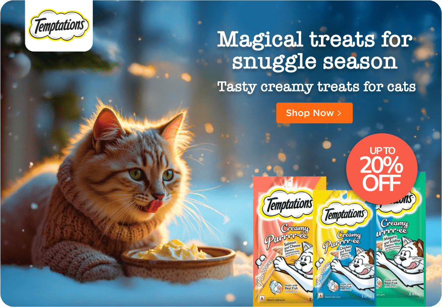 Cat Treats Banner_Web-1-min.png__PID:cd859b5c-0e05-4c2e-b2af-d11652058d08