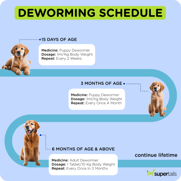 Deworming Schedule_dog-min.png__PID:d6bb4aef-7036-437f-aa84-1a84e7876550