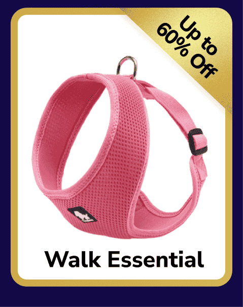Dog Travel Frame 1405177581.png__PID:f8e2fd16-67a9-47f7-bcba-e3b65dcde978