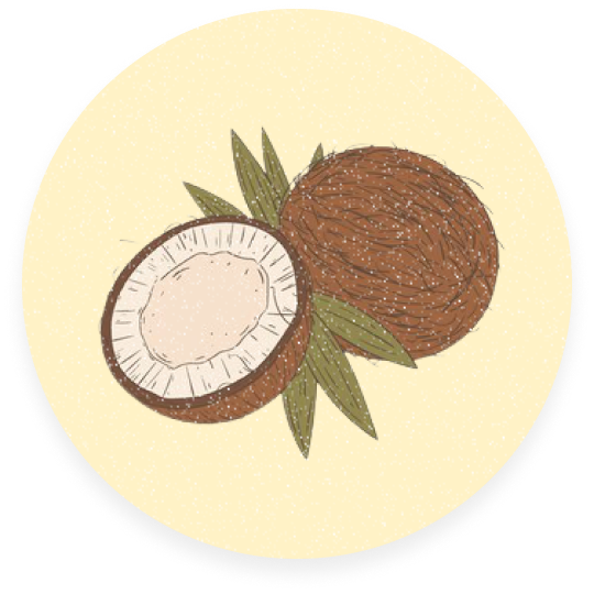 Coconut Extract